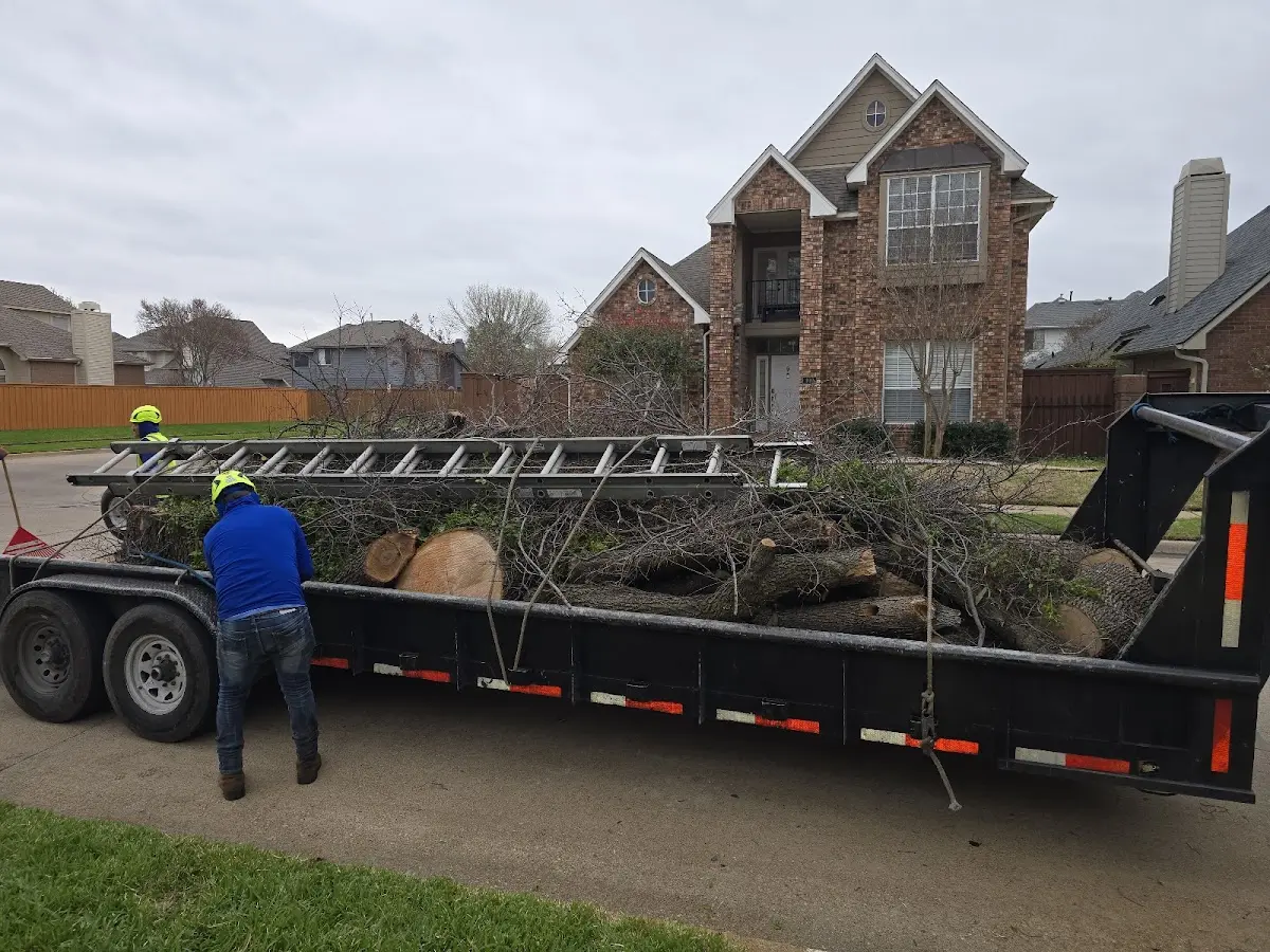 Expert Tree Fertilization with proper safety equipment in Chapman Ranch